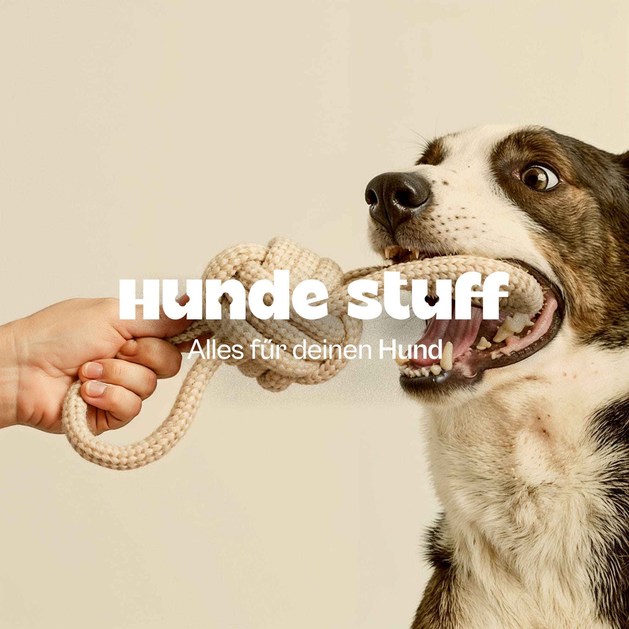 Hunde Stuff screen