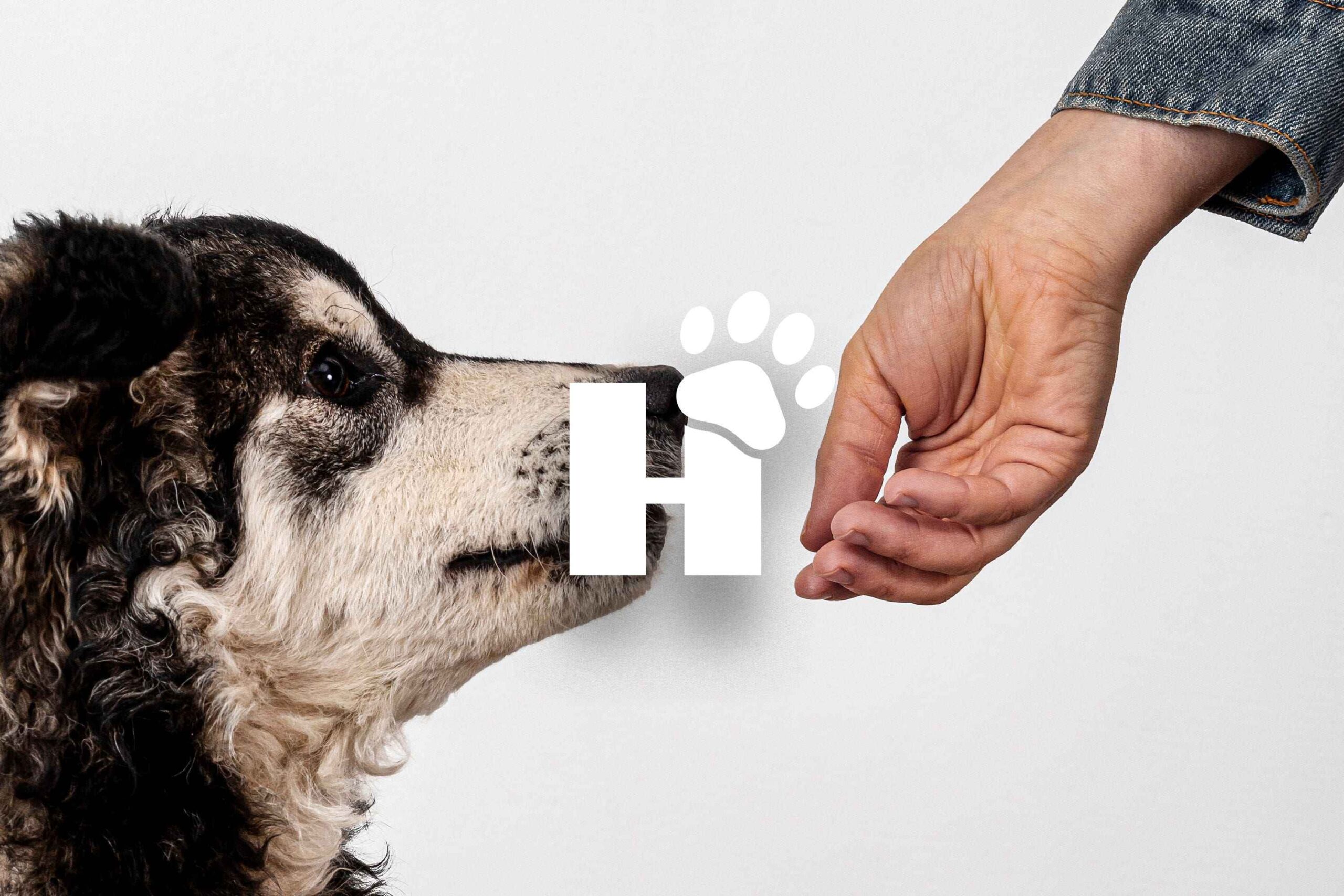 Hunde Stuff screen